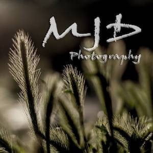 Matt de Waard MJD Photography